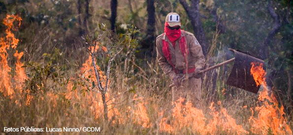 Manejo de fogo é a chave para combater incêndios no Pantanal