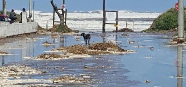 Risco de ressaca persiste no domingo