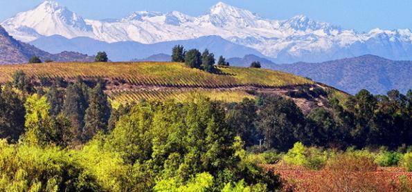 Dicas para uma viagem a dois no Valle do Colchagua