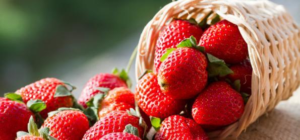 Fique saudável neste inverno! Veja os alimentos que ajudam a prevenir doenças! 