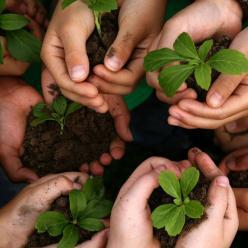 Você sabe a diferença entre produtos sustentáveis e ecológicos?