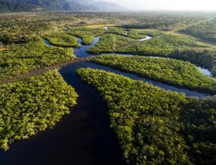amazonia