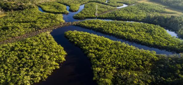 Um milhão de brasileiros estão sem energia elétrica na Amazônia