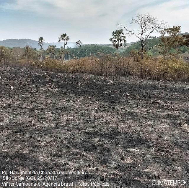 Chapada dos Veadeiros tem 10º dia de incêndios