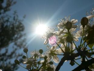 SP_Araraquara_DaniéliLins_02092016_céuazul_sol