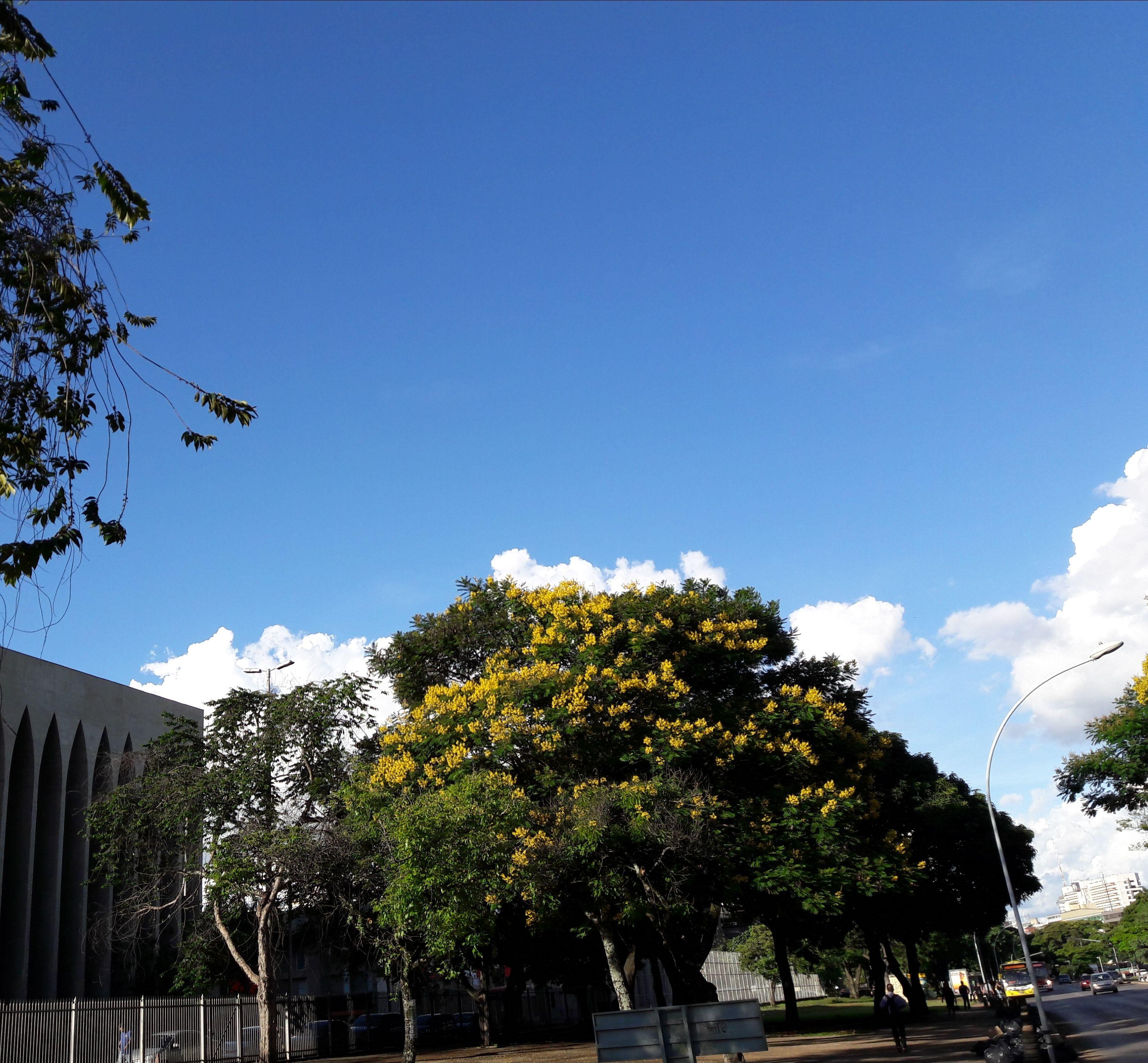 DF_Brasília por Wilan Nascimento 9-1-18 sol e calor