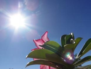 TO_Palmas_GleiveMarcio_04062018_sol