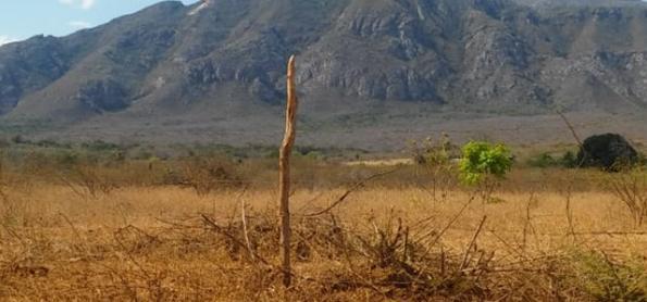 Umidade do ar cai e chega a 16% no interior de Pernambuco 