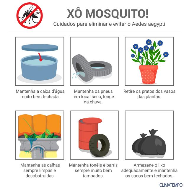 arte_dengue_2018