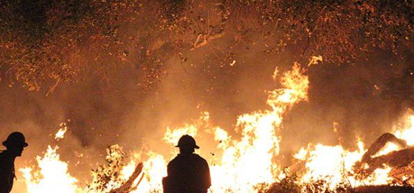 Projeto busca prevenção a incêndios florestais
