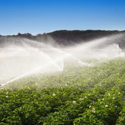Produtores defendem agricultura irrigada no oeste da Bahia