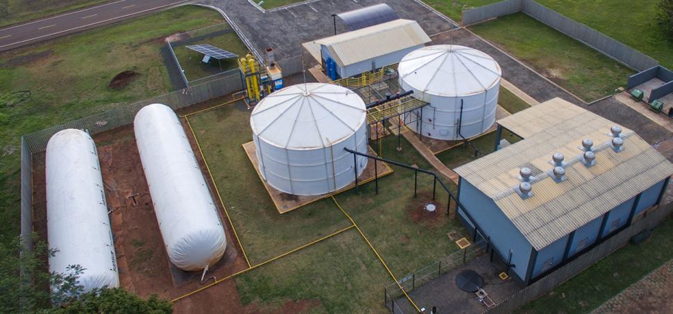 Biogás: opção renovável para produção de energia | Climatempo