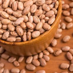 Saiba como aumentar a produtividade do feijão terceira safra