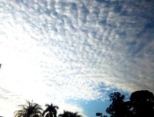 SP_São-Paulo_Clodoaldo-Silva_160719