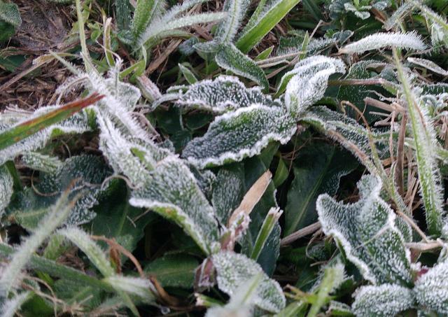 Com temperatura abaixo de 5°C, volta a gear em São Paulo ...