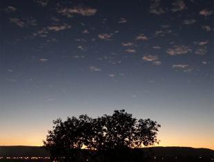 TO_Palmas-por-Gleive-Marcio-Rodrigues-9-7-19-amanhecer