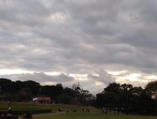 PR_Curitiba_JardimBotanico_2_Angela-Ruiz