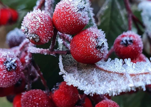 Frio bate recorde em Curitiba e Sul ainda geada nesta ...