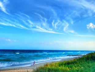 AmarPalmBeach