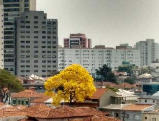 SP_São Paulo por Maria Clara Machado 19-9-19 muitas nuvens_post