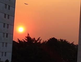 SP_São Paulo por Elza 16-9-19 por do sol vermelho_fumaça_post