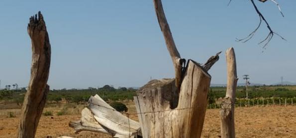 Nordeste em alerta para o ar muito seco nesta quinta