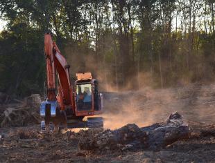 deforestation-2833688-1920