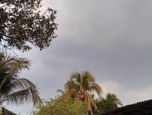 RO_Presidente-Médici-por-Fernando-Ramos-da-Silva-11-9-19-muitas-nuvens