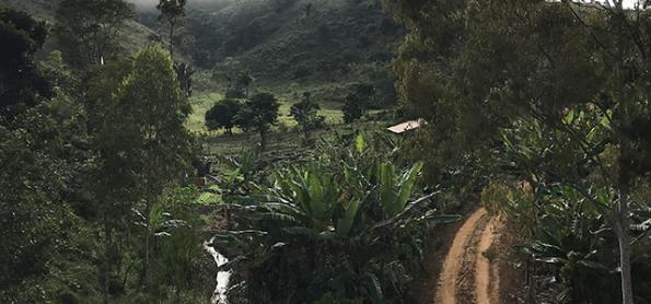 Mais pancadas de chuva para BA, MA e PI