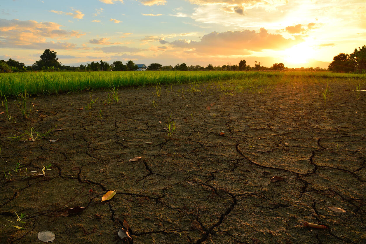 Unesp e Austrália irão pesquisar impactos da mudança climática