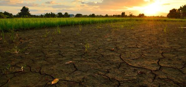 Unesp e Austrália irão pesquisar impactos da mudança climática