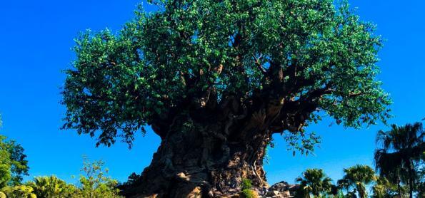 10 atrações para crianças no Disney's Animal Kingdom Theme Park
