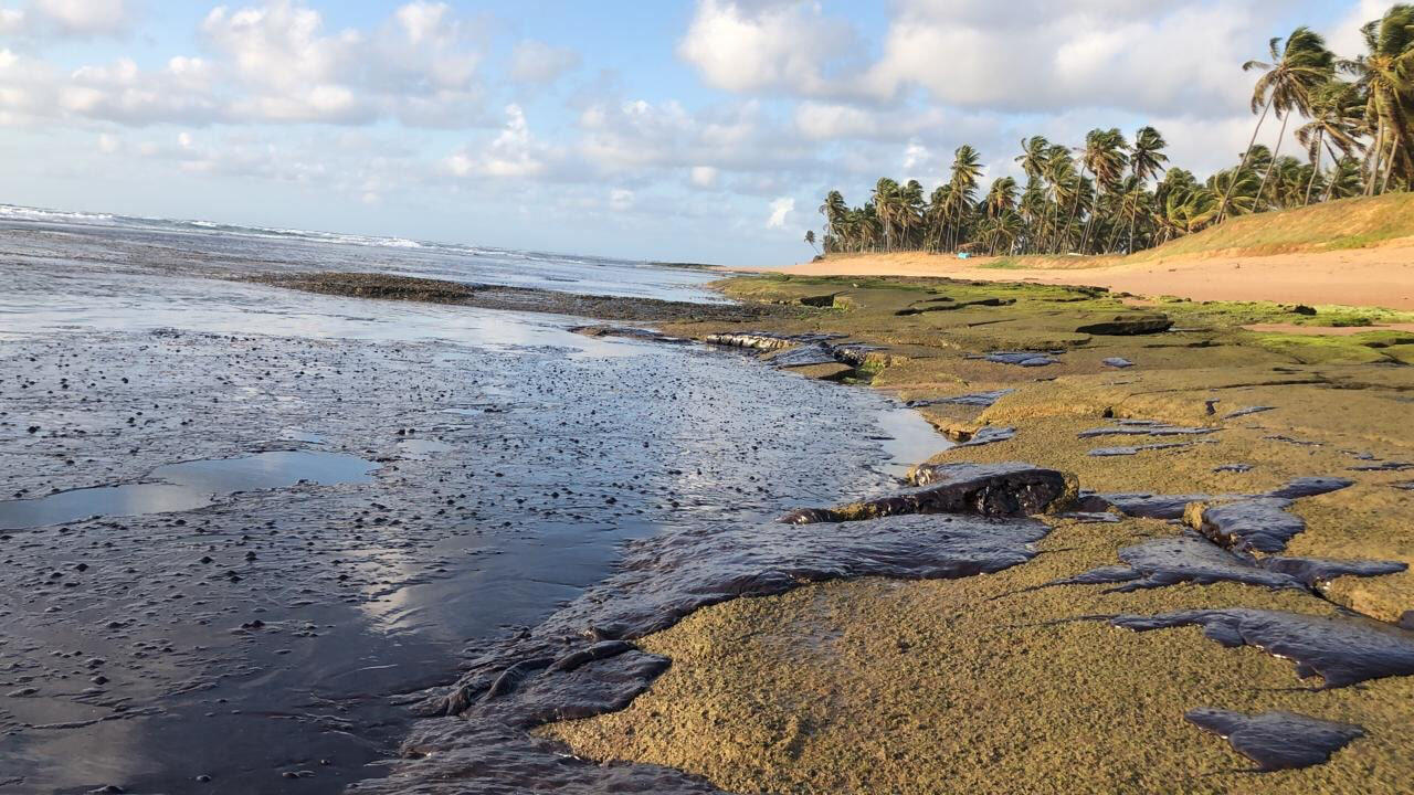 Praias limpas aumentam no litoral norte de SP, e Baixada Santista