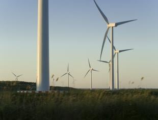 eolica