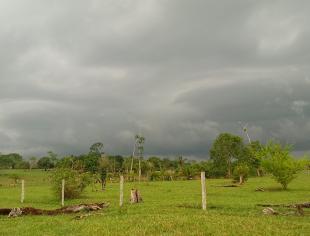 RO_Alta-Floresta-d´Oeste-por-Max-Well-Levandovski-11-10-18-nublado