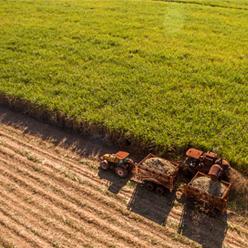 Valor da Produção Agropecuária de 2019 atinge recorde
