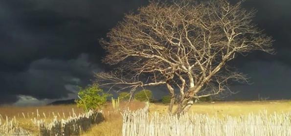 ZCIT aumenta a chuva em parte do Nordeste