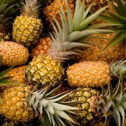 Estudo mostra potencial do BR na produção de abacaxi