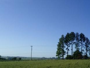 RS_ColôniaNova_sol_DoloresKlassen_20012019