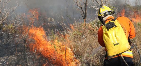 Mato Grosso lidera o ranking estadual de queimadas
