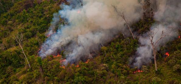 Pesquisadores alertam para contenção de queimadas na Amazônia