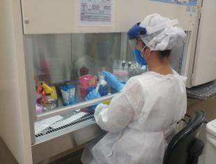 laboratoriobotucatu.
