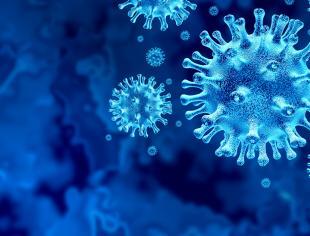 virus