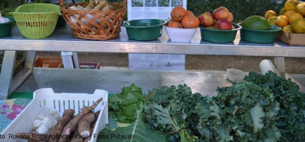 Dicas de alimentação para vencer a quarentena da covid-19