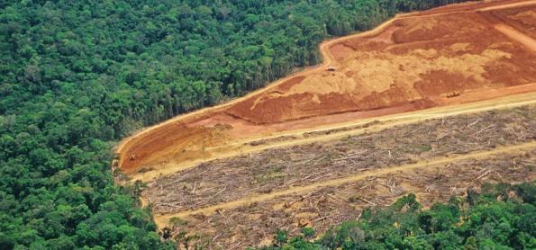 Desmatamento na Amazônia avança em março 