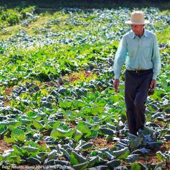 BR alcança abertura de 60 mercados para produtos agropecuários