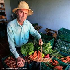 Agricultor pode fazer consulta online do Programa Garantia-Safra