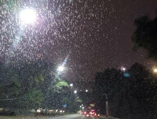 SP_SãoPaulo_PaulaSoares_14082019_chuvisco_garoa