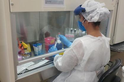 Entenda como funciona um laboratório que diagnostica a covid-19