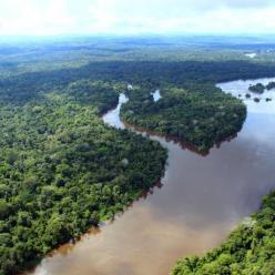 O que é a Plataforma Floresta+ ?